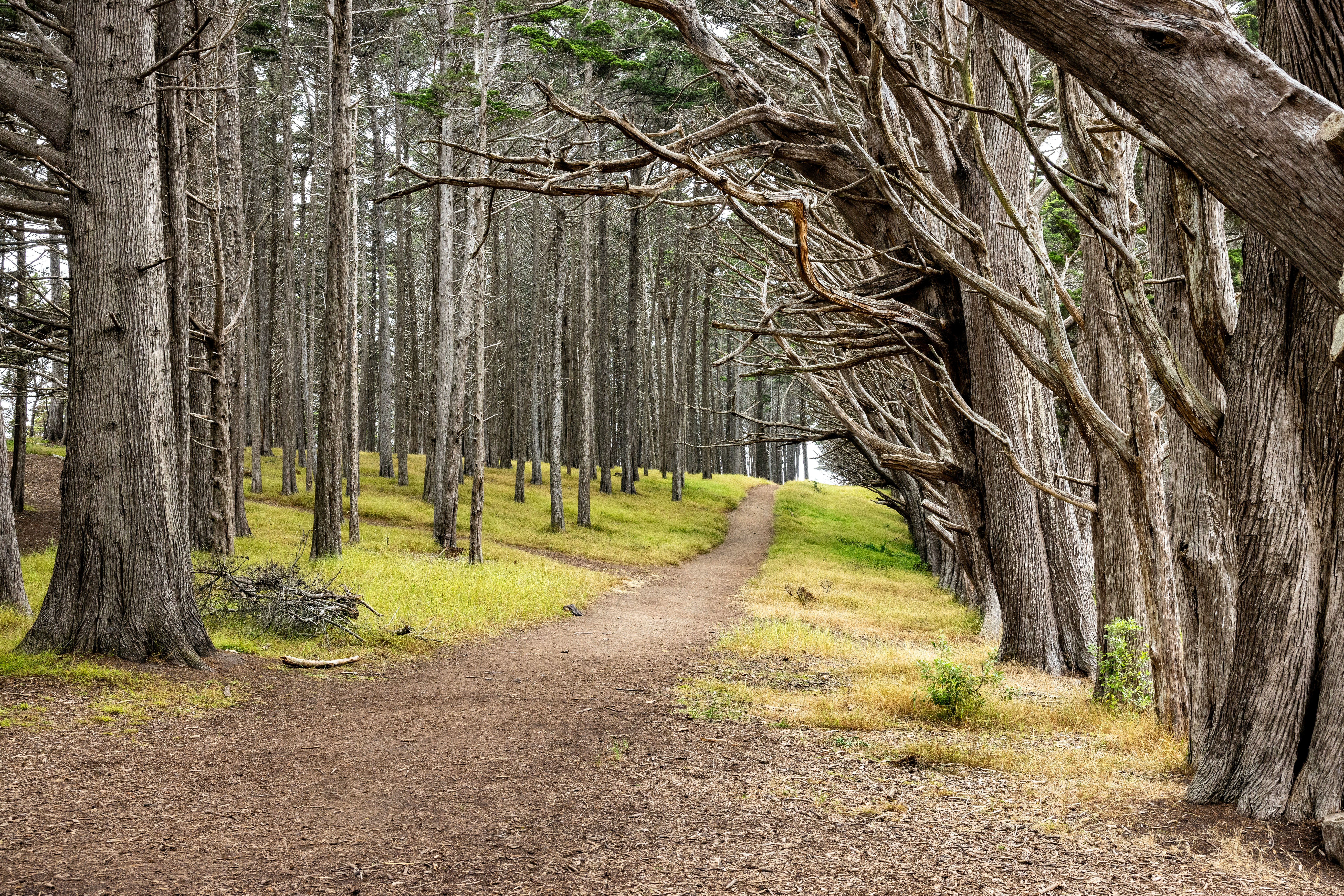 Optometrist Randall Melchert - Natural Spaces