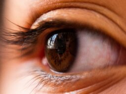 Why Skipping Your Eye Exam Could Cost You More Than Clear Vision